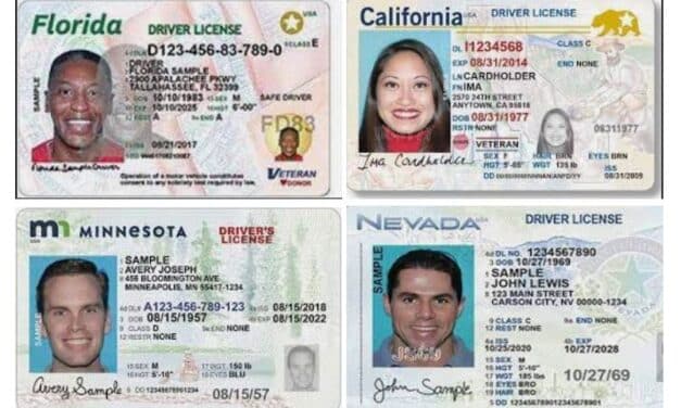 “Licencia de Conducir Para Todos los Indocumentados”. ¿Cuántas Veces Has Visto Ese Anuncio en Internet?
