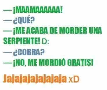 chistes cortos latinos: mordida de serpiente